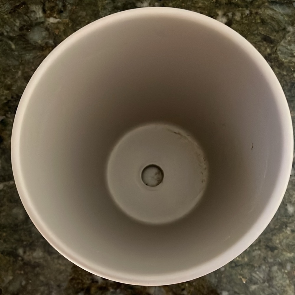 Ceramic Planter with Saucer - Picture 4 of 8